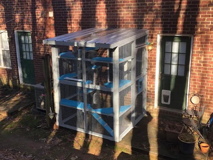 Catio BoB 12