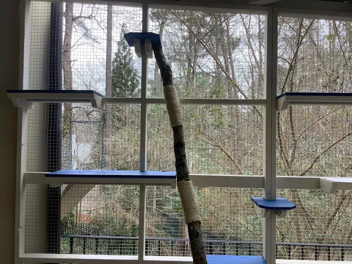 Catio BoB 12