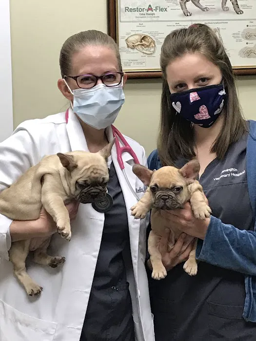 Flemington Veterinary Hospital 12