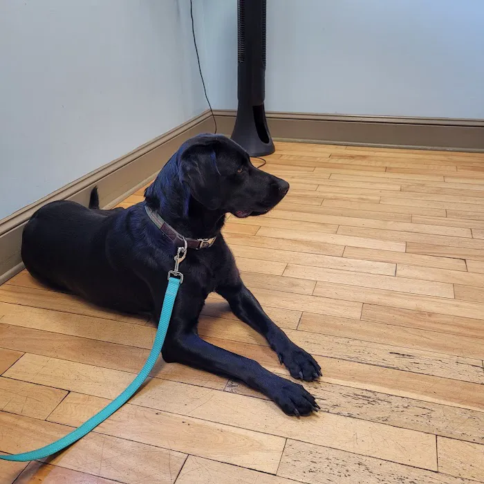 Paw Prints Veterinary Hospital 12