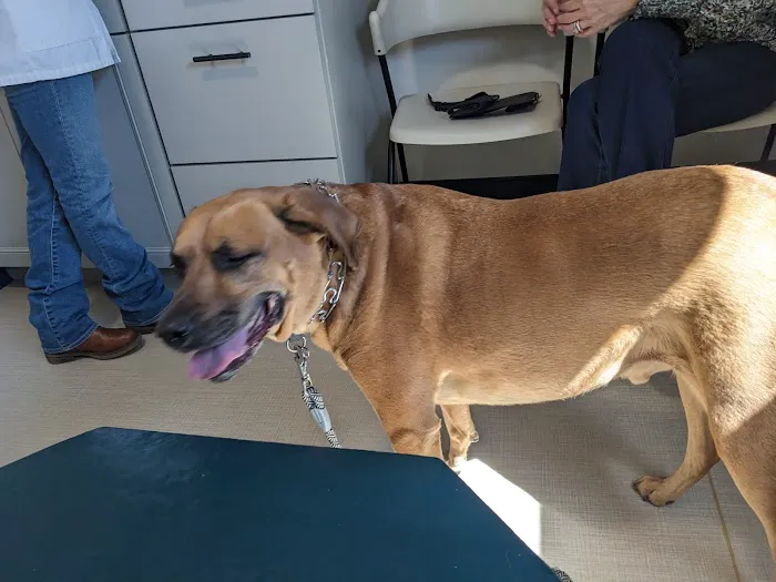 Paw Prints Veterinary Hospital 12