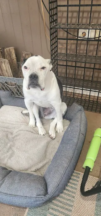 West Hunterdon Animal Hospital 12
