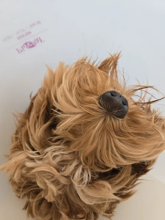 West Hunterdon Animal Hospital 12