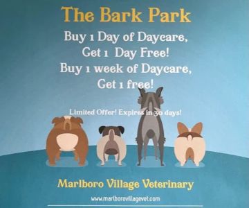 Marlboro Village Veterinary Hospital of Marlboro and Aberdeen & The Bark Park Dog Daycare!