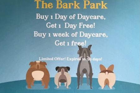 Marlboro Village Veterinary Hospital of Marlboro and Aberdeen & The Bark Park Dog Daycare!