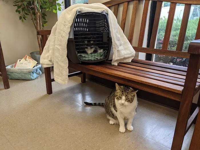 Reid Hill Veterinary Clinic 12