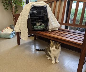 Reid Hill Veterinary Clinic