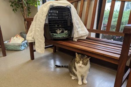 Reid Hill Veterinary Clinic