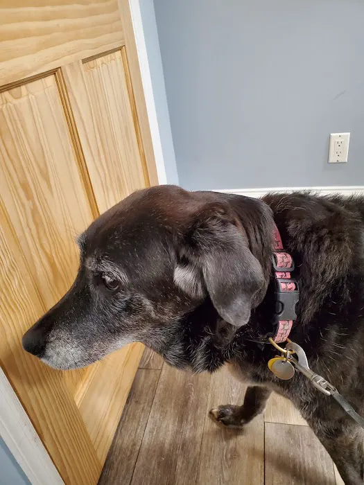 Holmdel Veterinary Clinic 12