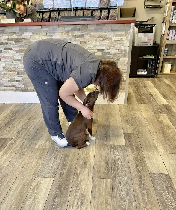 Holmdel Veterinary Clinic 12