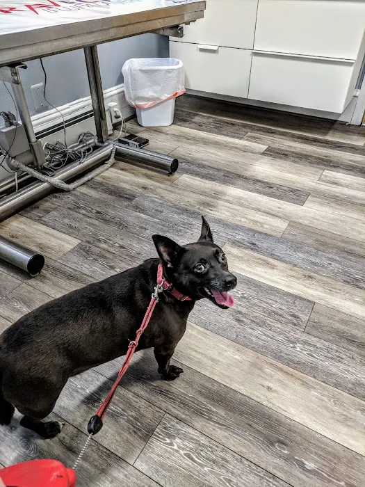 Holmdel Veterinary Clinic 12