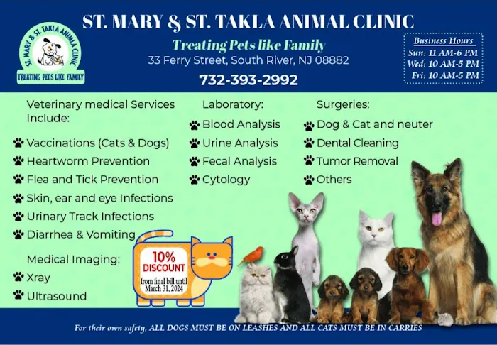 St Mary and St Takla Animal Clinic 12