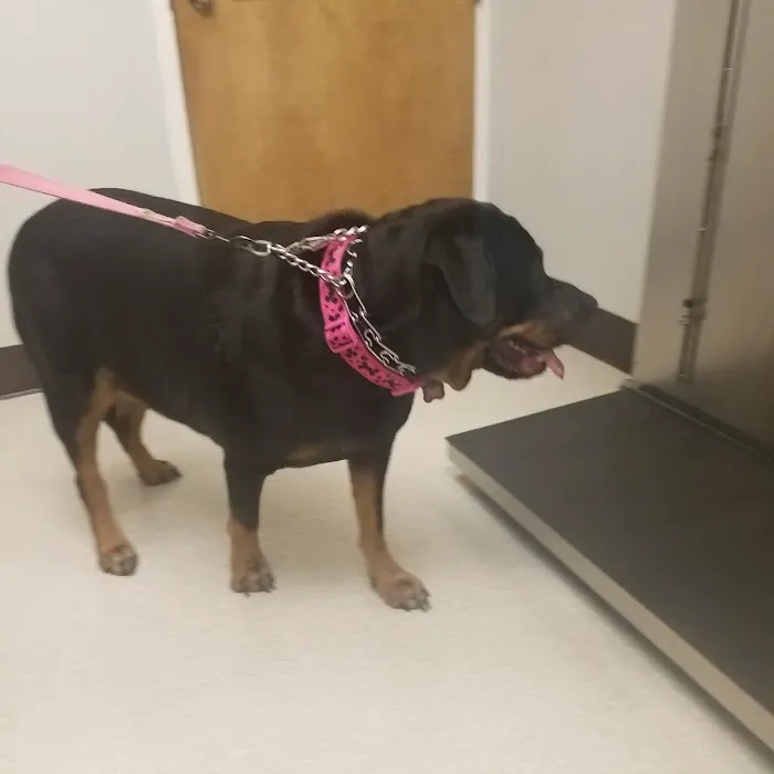 VCA Ocean County Animal Hospital 12