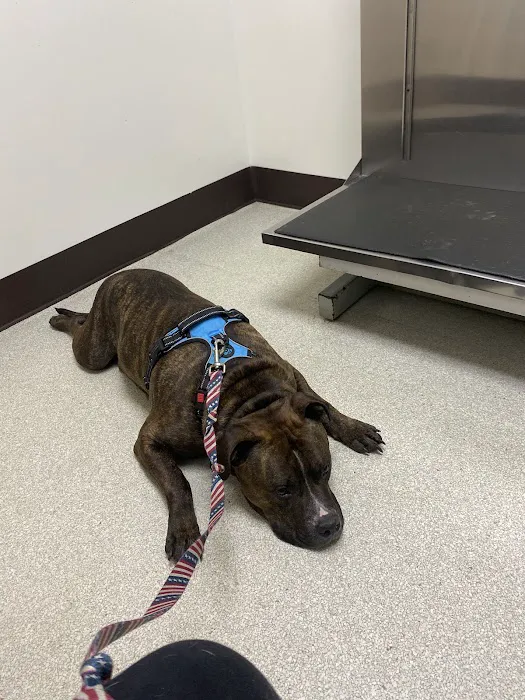 VCA Ocean County Animal Hospital 12