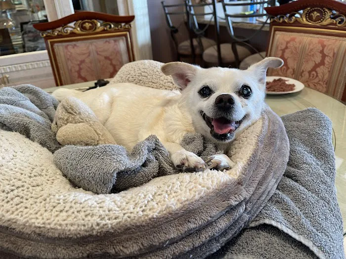VCA Ocean County Animal Hospital 12