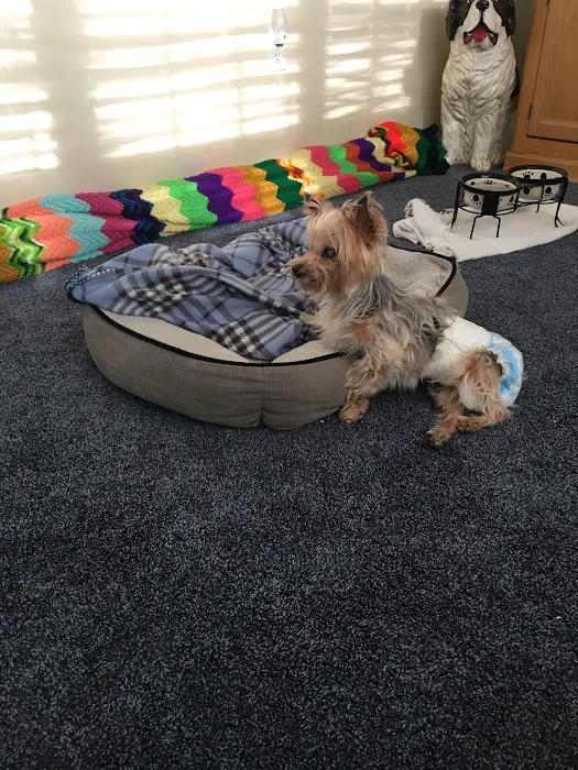 VCA Ocean County Animal Hospital 12