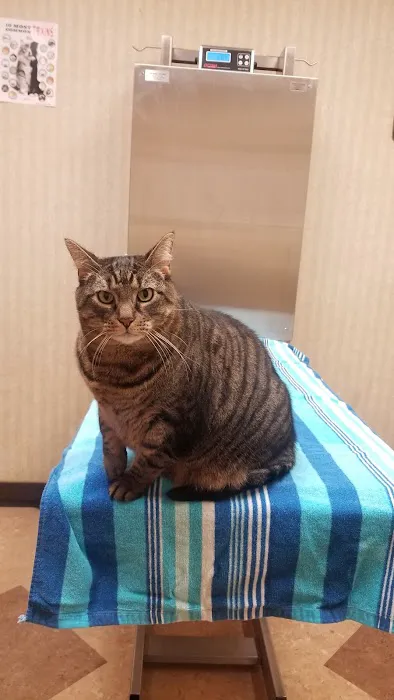 Brick Town Veterinary Hospital 12