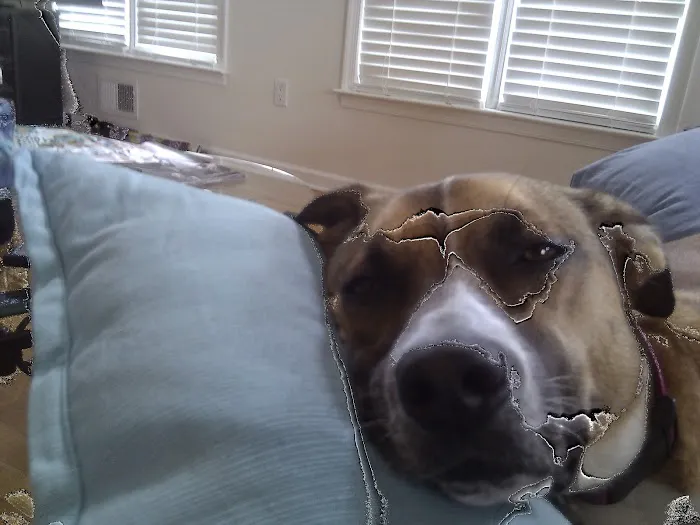 Brick Town Veterinary Hospital 12