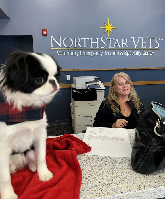 NorthStar VETS 12