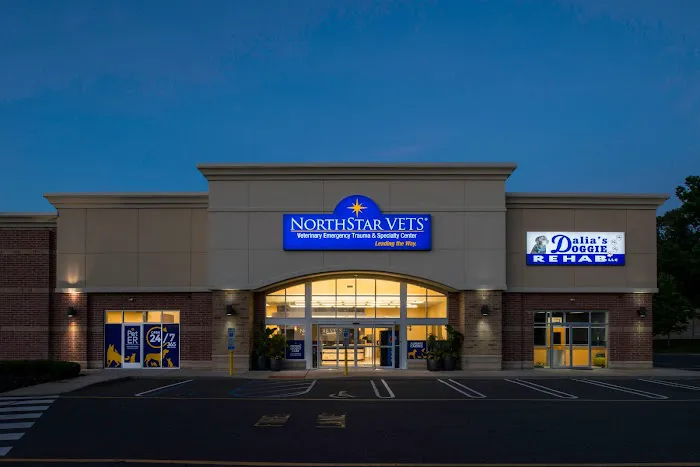NorthStar VETS 12