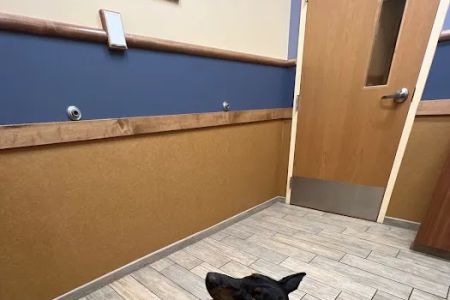 NorthStar VETS