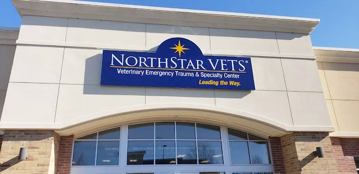 NorthStar VETS 12