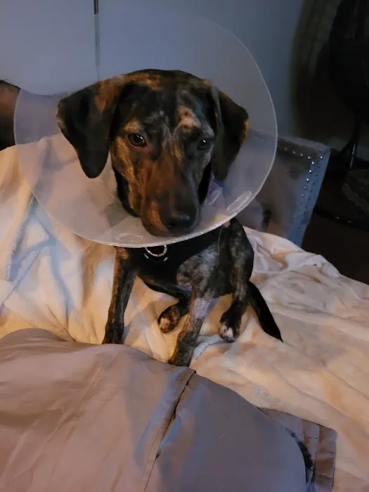 Banfield Pet Hospital 12