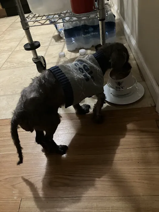 Banfield Pet Hospital 12