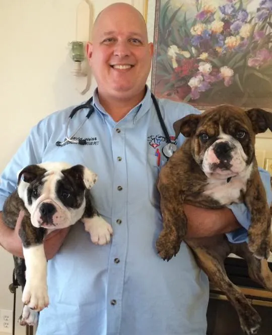 Furry Friends Mobile Vet 12