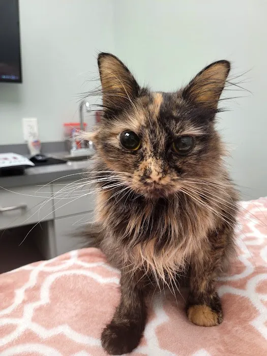Ramtown Animal Hospital of Howell 12