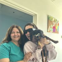 Ramtown Animal Hospital of Howell ico