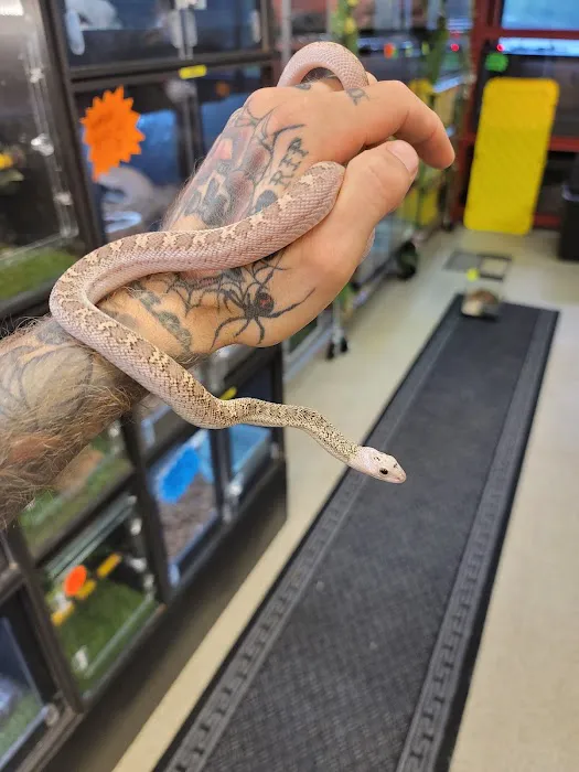 Exotic pets and supply by Endless Scales 12