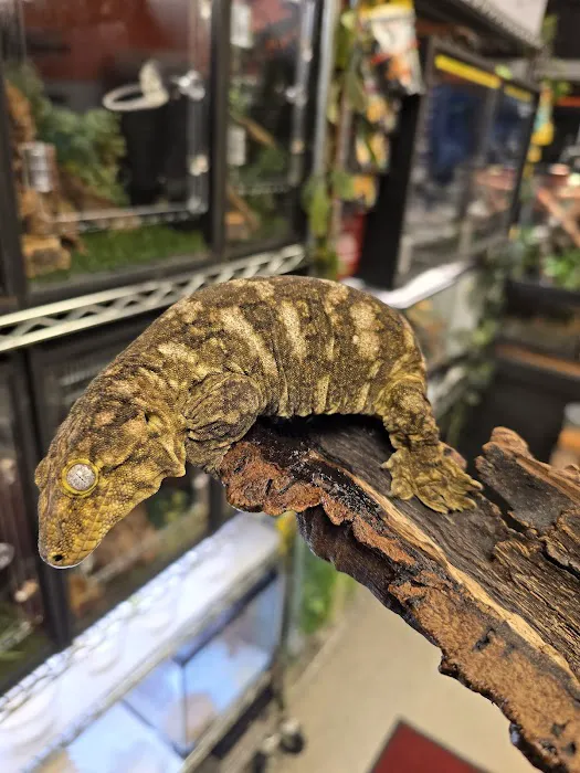 Exotic pets and supply by Endless Scales 12