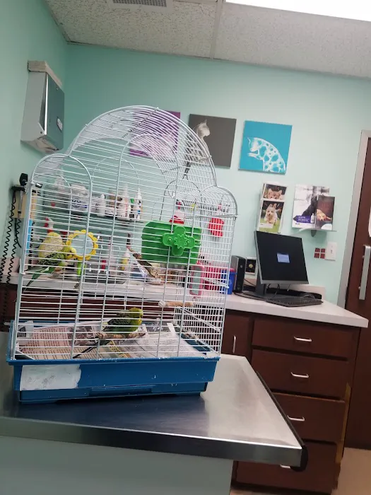 Allenwood Animal Hospital 12
