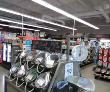 Petco