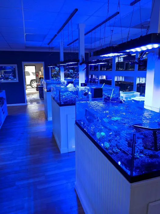 Classic City Aquariums 3
