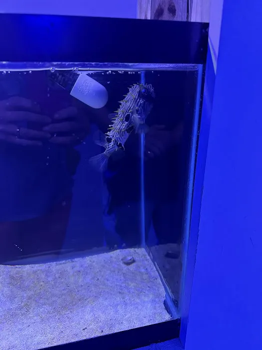 Classic City Aquariums 6