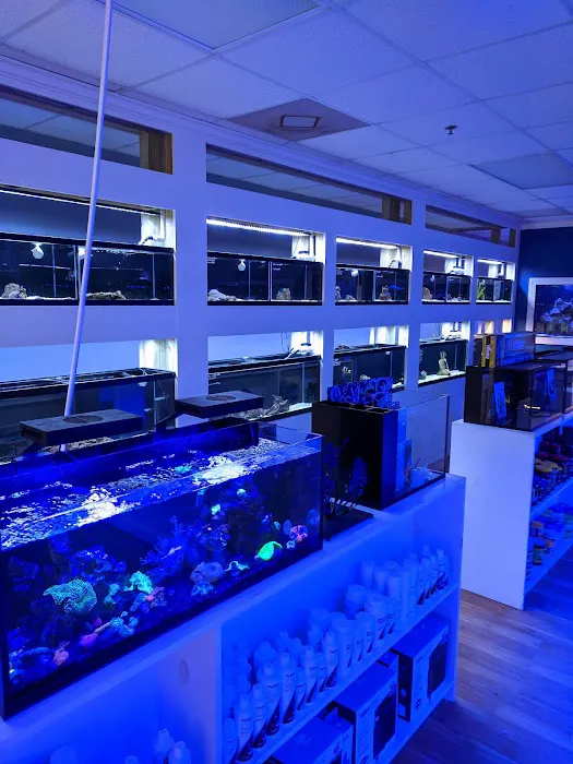Classic City Aquariums 5