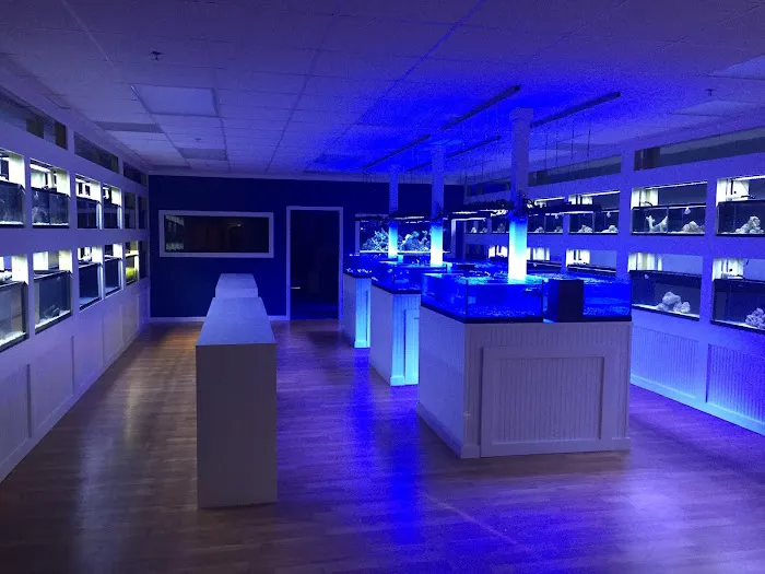 Classic City Aquariums 10