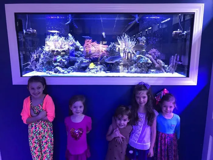 Classic City Aquariums 4