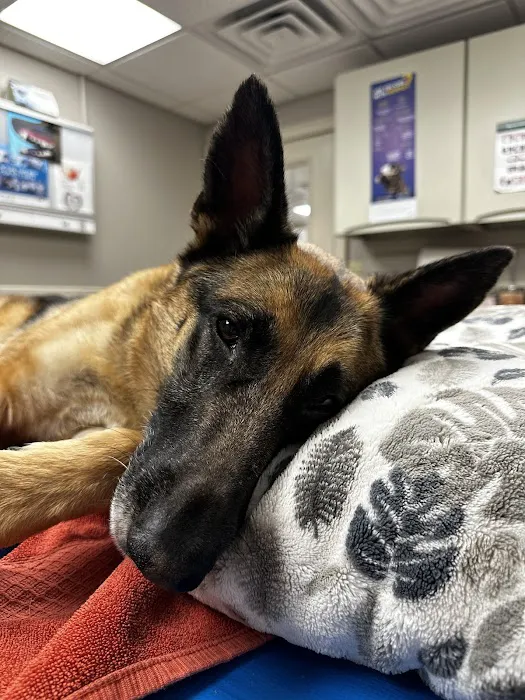 Red Bank Veterinary Hospital (RBVH) - Tinton Falls 12