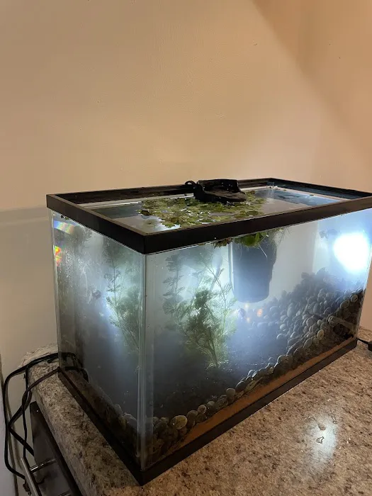 Fish Gallery - Athens 12