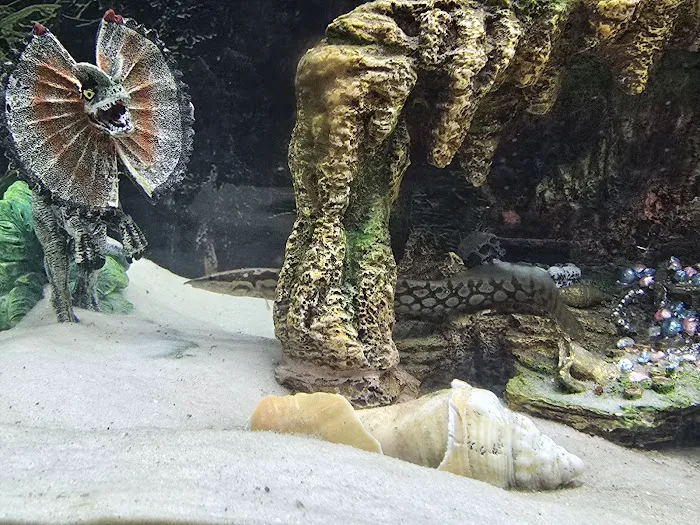 Fish Gallery - Athens 12
