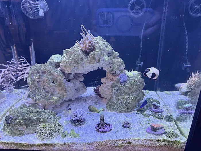 Fish Gallery - Athens 12