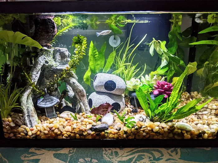 Fish Gallery - Athens 12