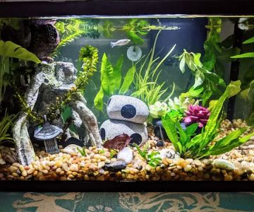 Fish Gallery - Athens