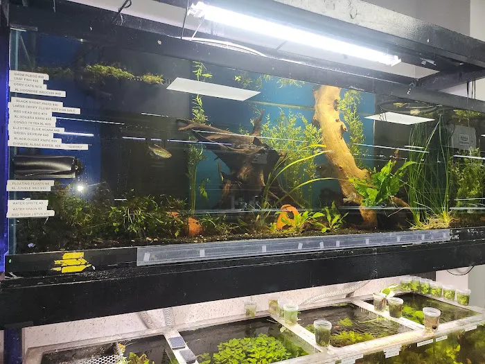 Fish Gallery - Athens 12