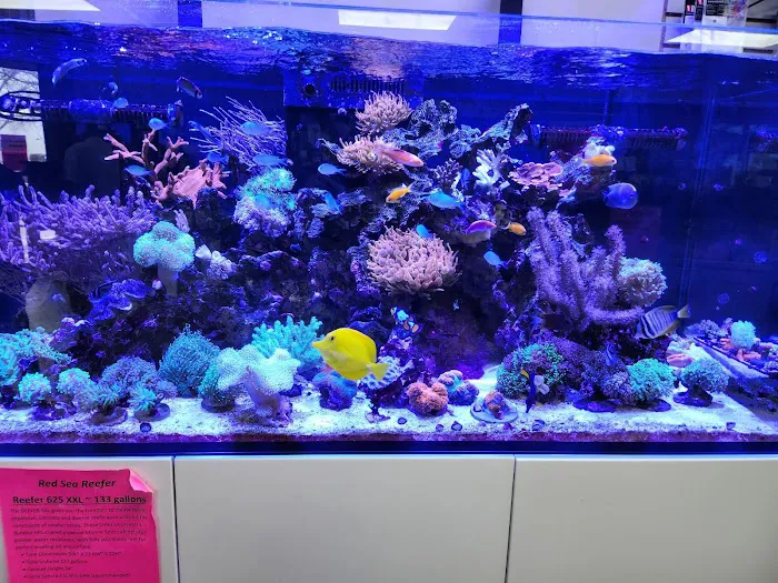 Fish Gallery - Athens 12