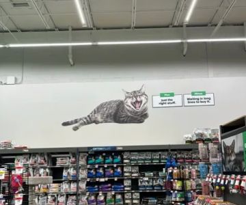 Pet Supplies Plus Athens