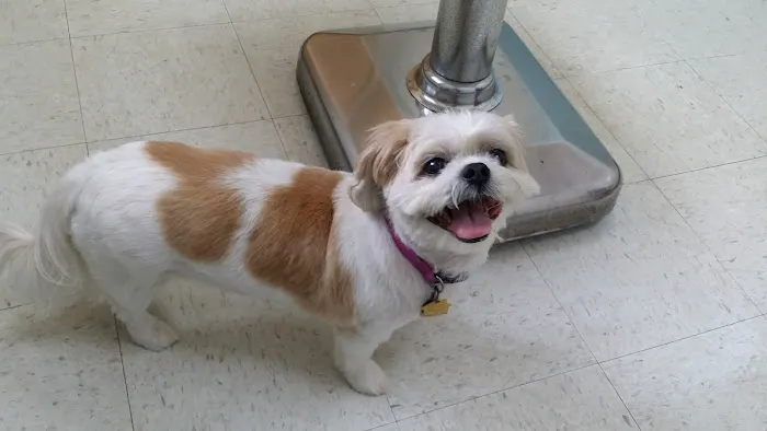 Central Jersey Veterinary Clinic 1